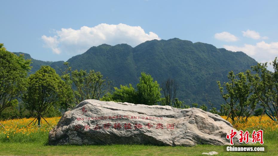 1300余种珍稀特有植物“安家”三峡坝区