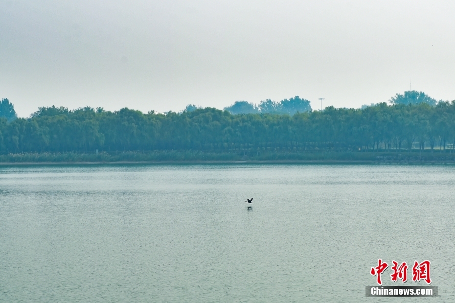 走进北京团城湖调节池 南水助力首都水清安澜