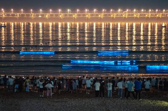 天津海岸边“蓝眼泪”荧光扮靓海面