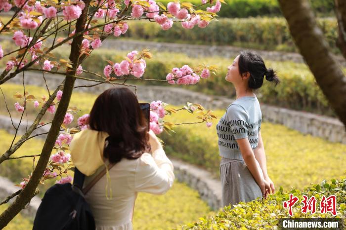 贵州大方：奢香古镇春意浓