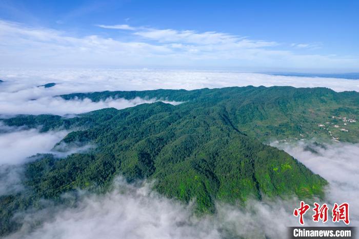 航拍贵州黔西顺石林场层峦叠翠云雾缭绕