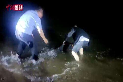 福建海警成功救助搁浅海豚