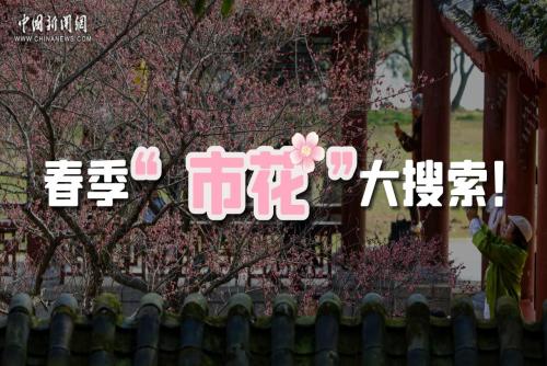 春季“市花”大搜索！其中有你的家乡吗？