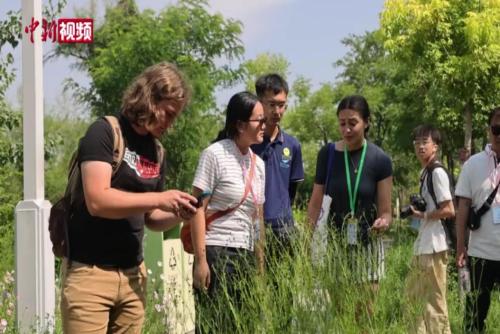 美国大学生到河北衡水学院进行文化交流