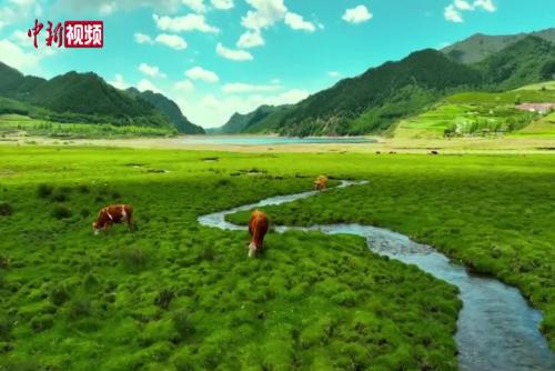 飞“阅”青海南门峡湿地 河流纵横如大地掌纹